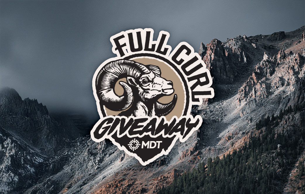 FULL CURL GIVEAWAY