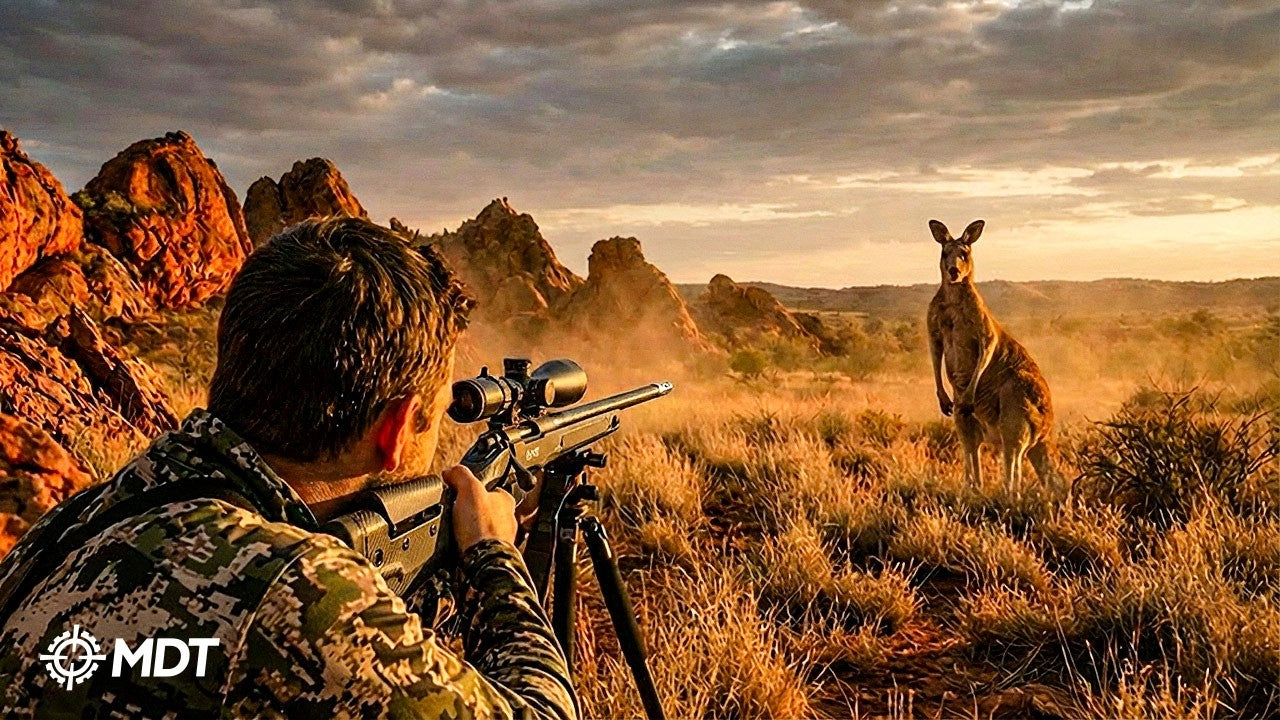 Why Australia NEEDS to Hunt Dingoes, Kangaroos & More