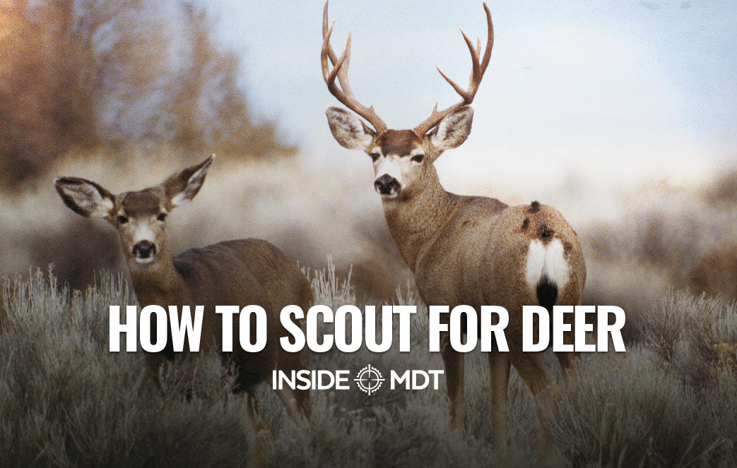 How to Scout for Deer - Inside MDT