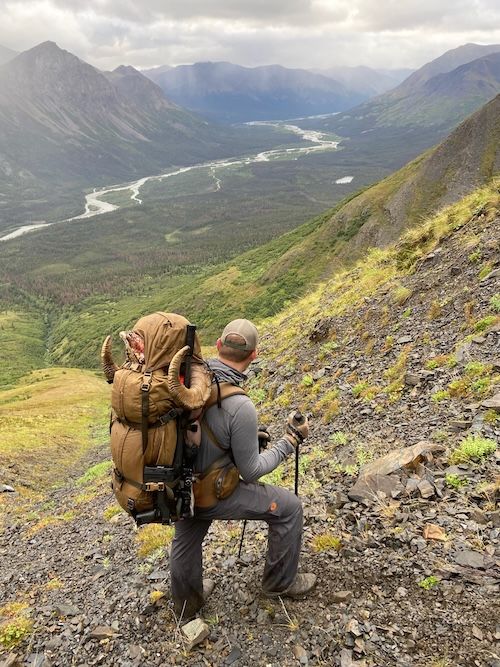 How To Hunt Stone Sheep In British Columbia - Inside MDT