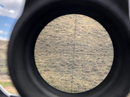 Looking through rifle scope