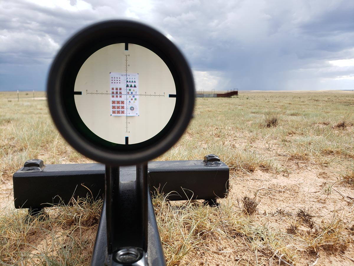 Target through a rifle scope