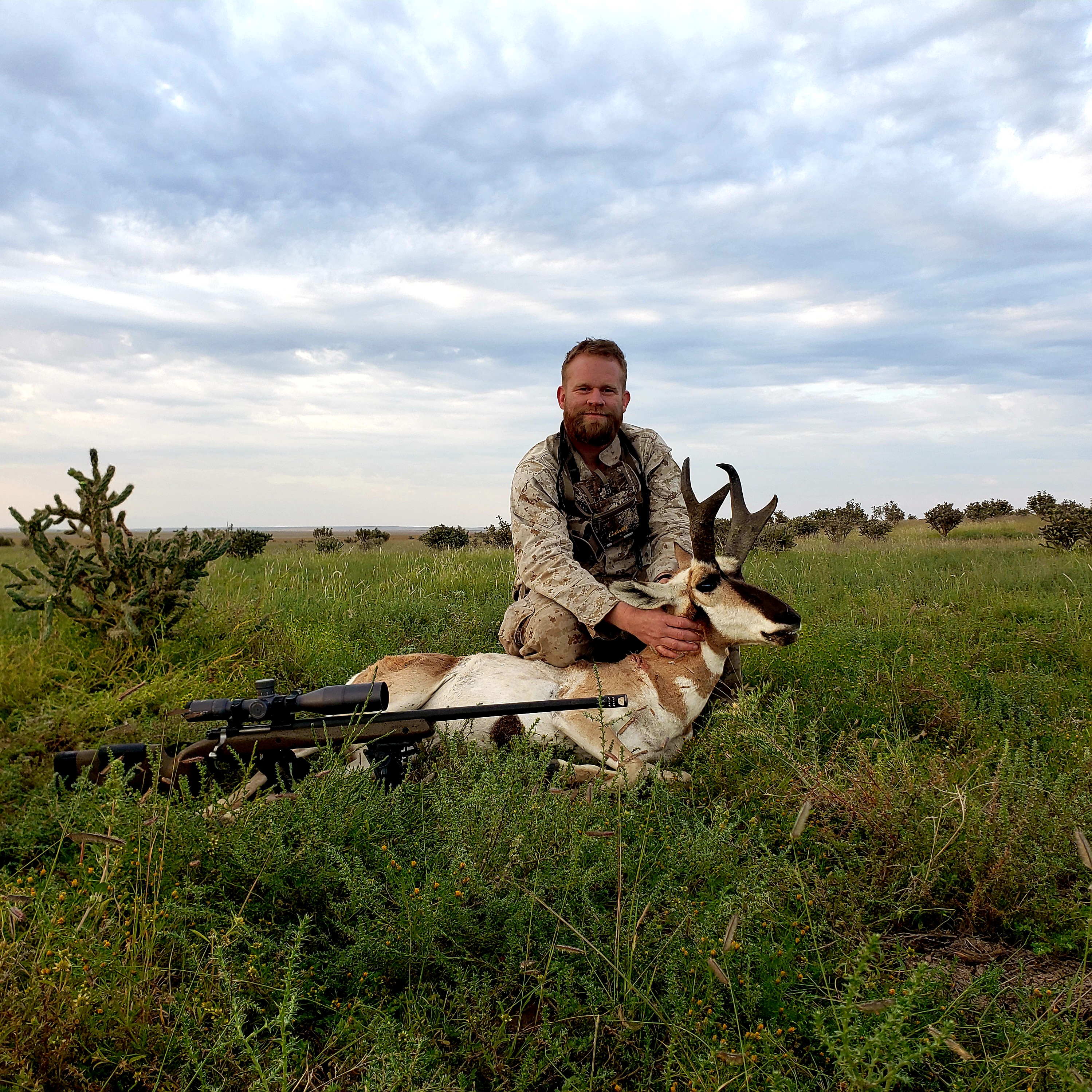 New Mexico Pronghorn Antelope trophy